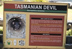 Tasmanie_Dec 2015_434